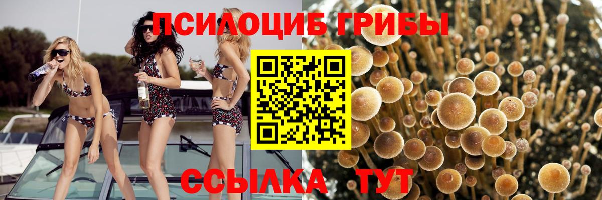 Псилоцибиновые грибы MAGIC MUSHROOMS Югорск