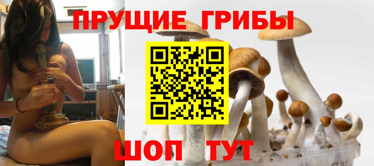 Югорск  Галлюциногенные грибы Psilocybe  Вход с VPN  Псилоцибиновые грибы прущие грибы 